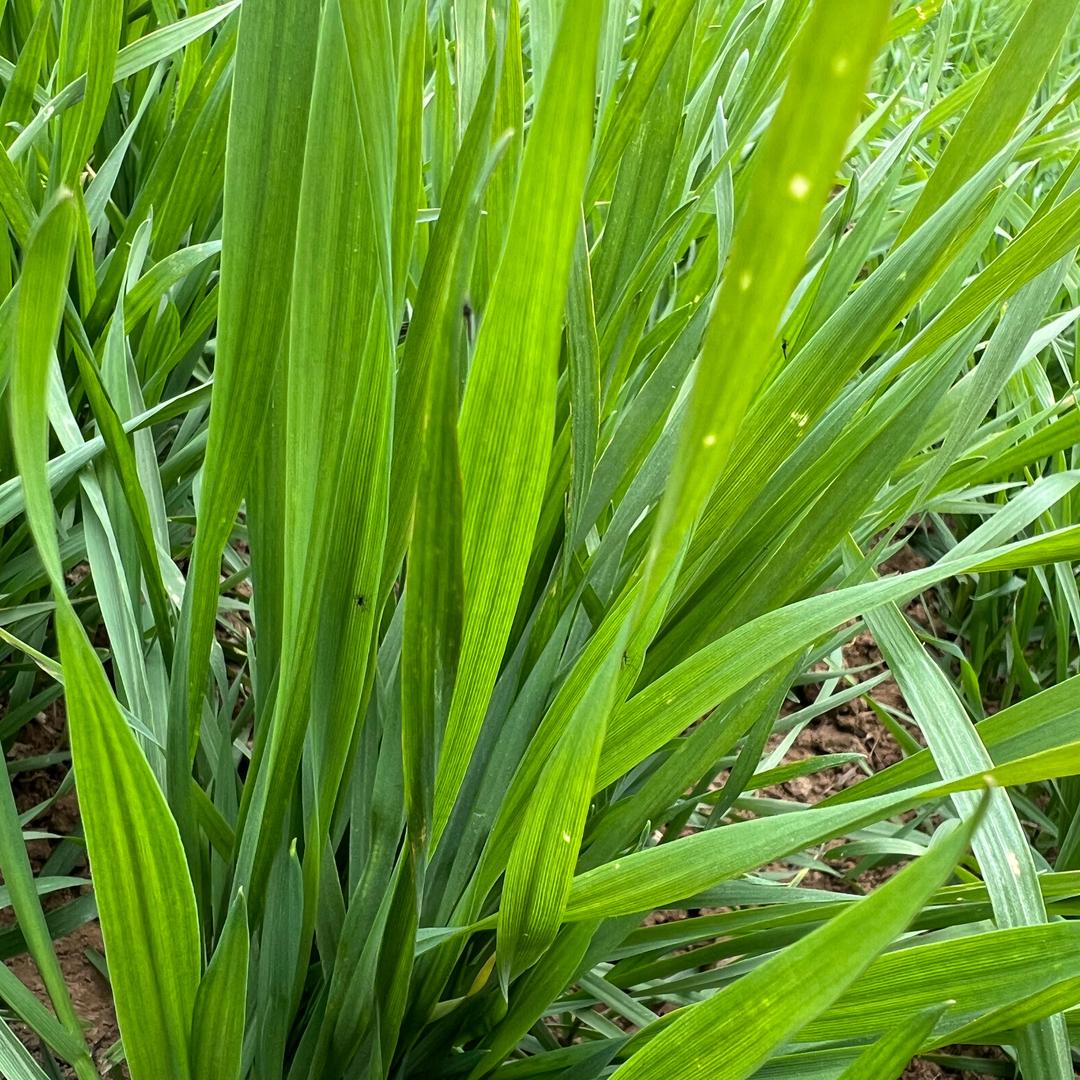 用好肥种好地  商品在橱窗