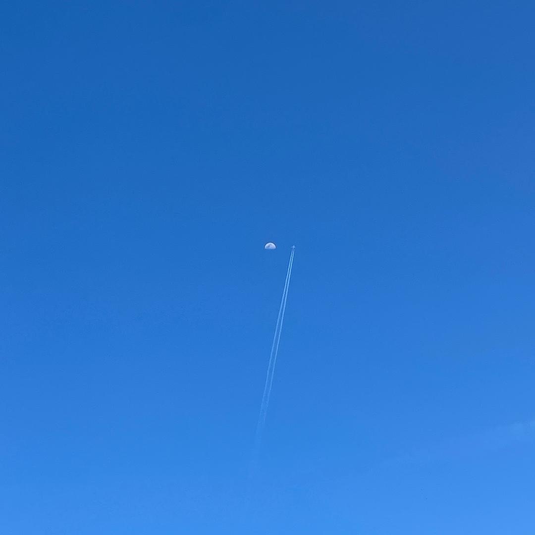 鲜衣怒马少年郎