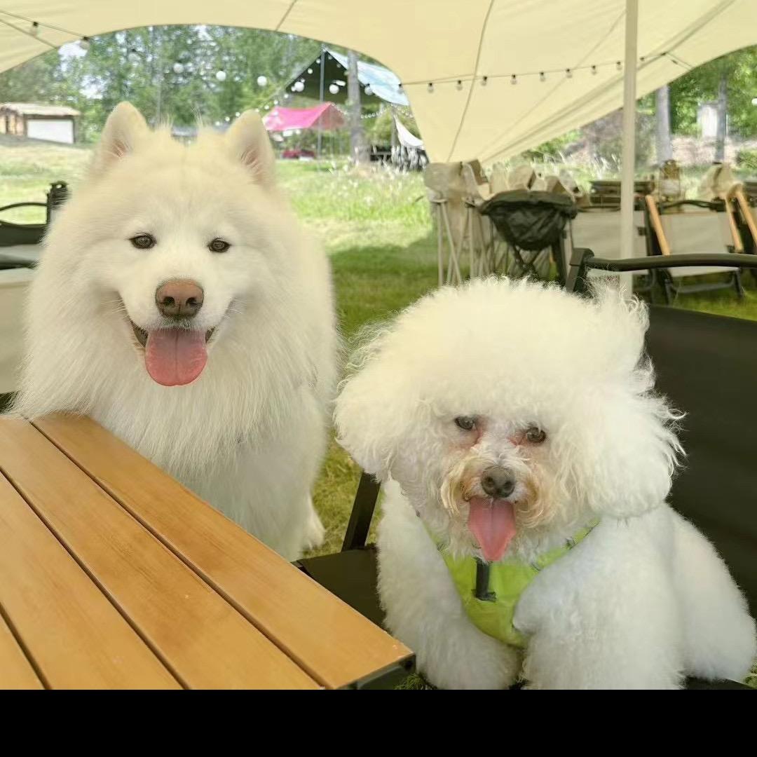 是你老婆吖。
