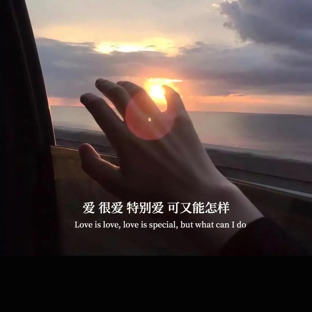 糖糖8885