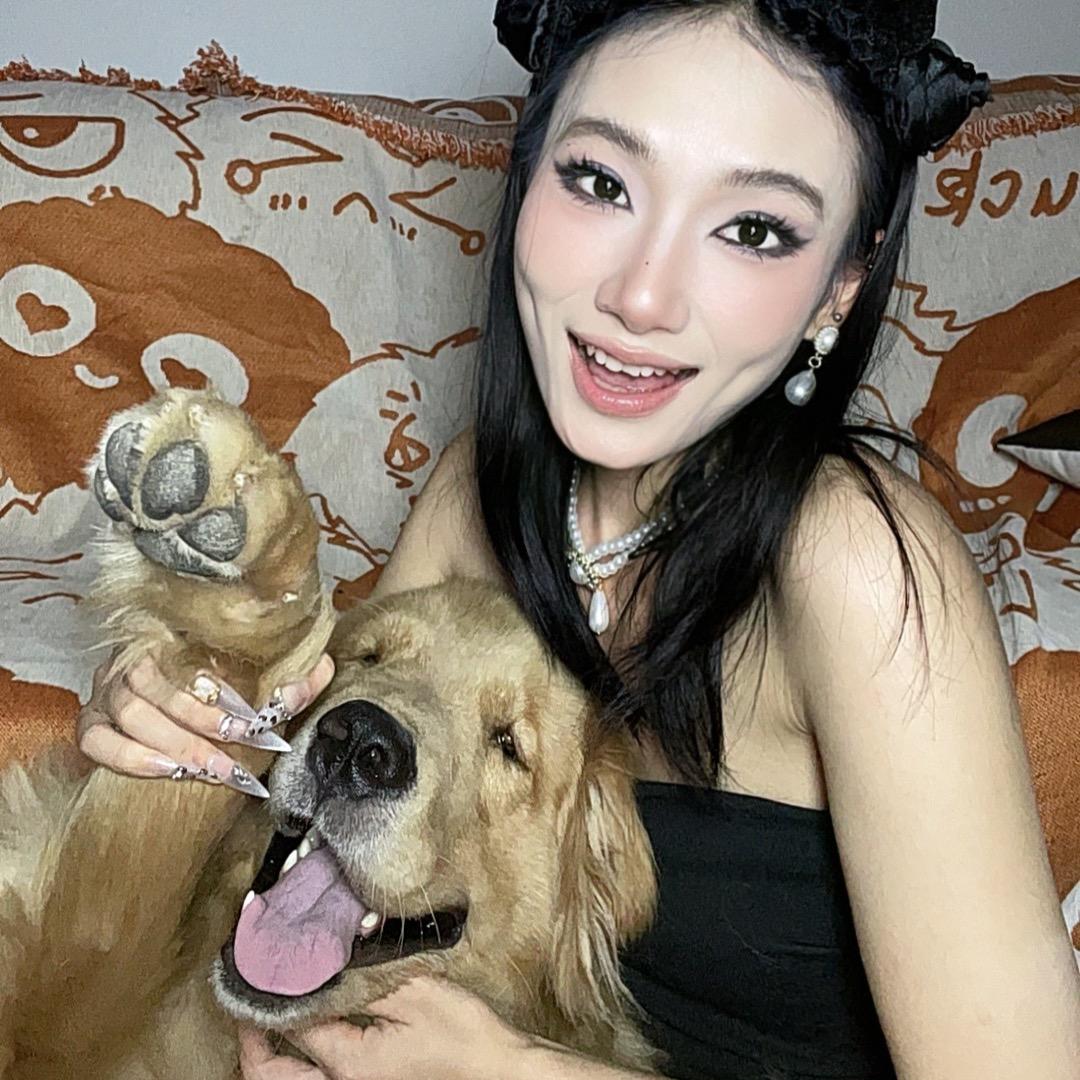 八百是金毛