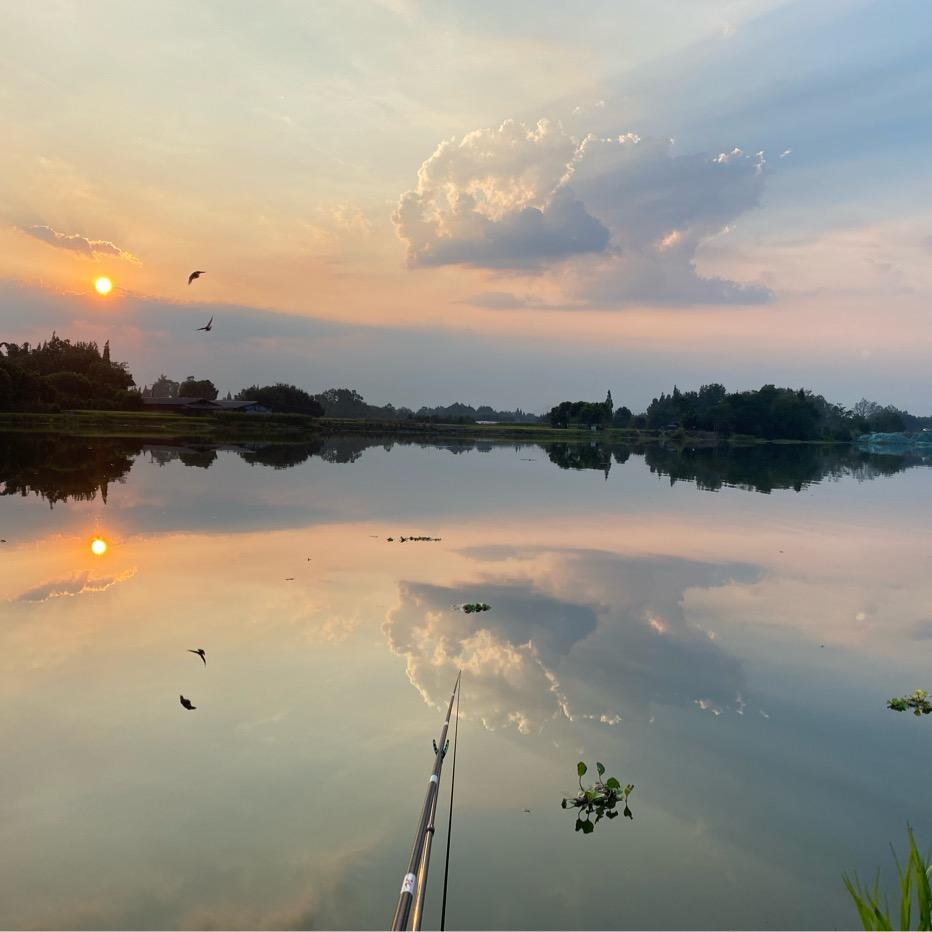 🌈🌈红烧猪蹄