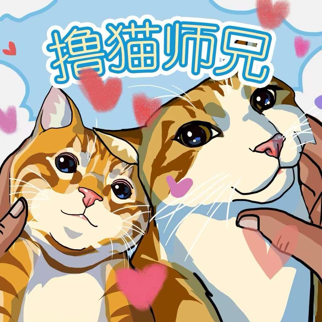 撸猫师兄