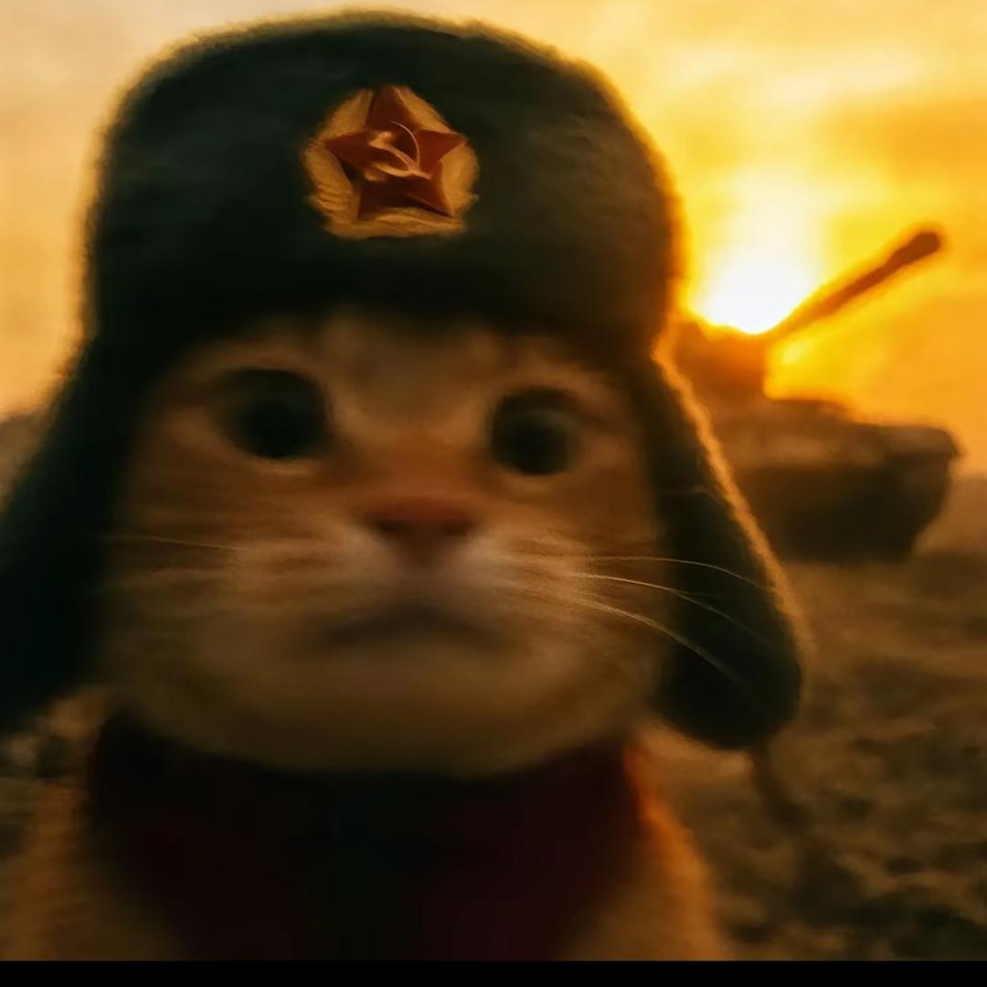 眼 鼻 嘴