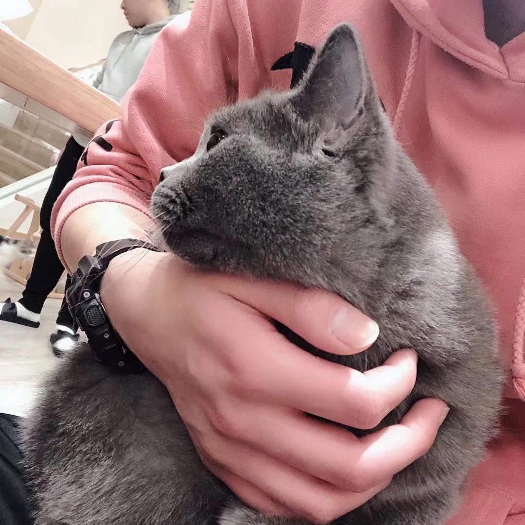 小阿峰♍