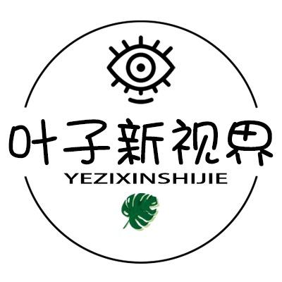 _小D同学