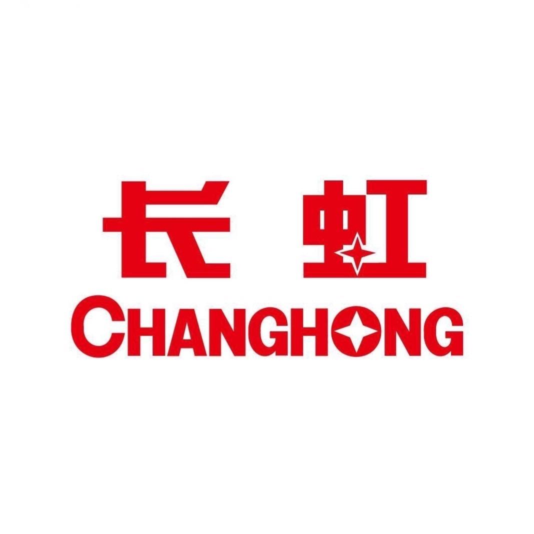 长虹控股集团