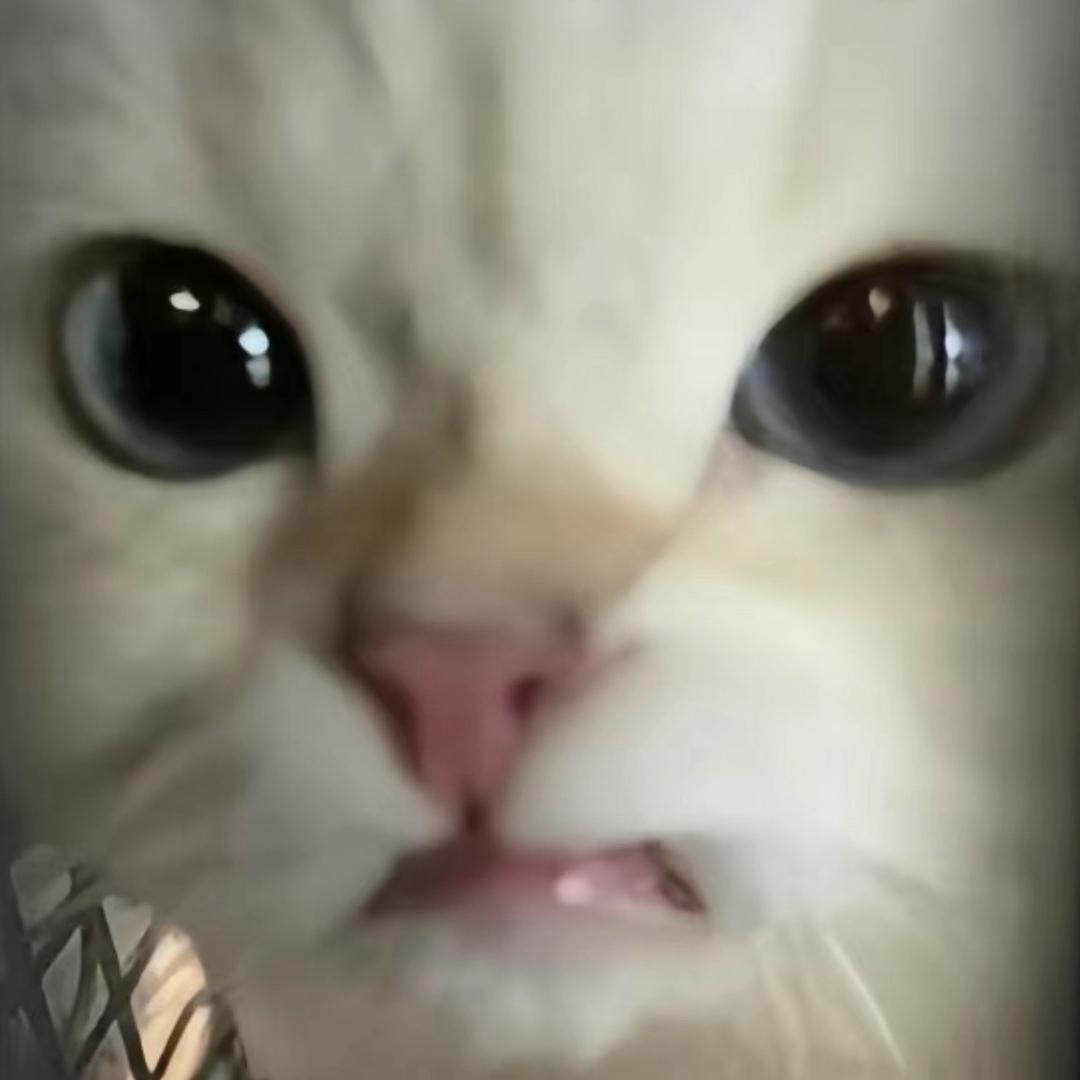 小糊