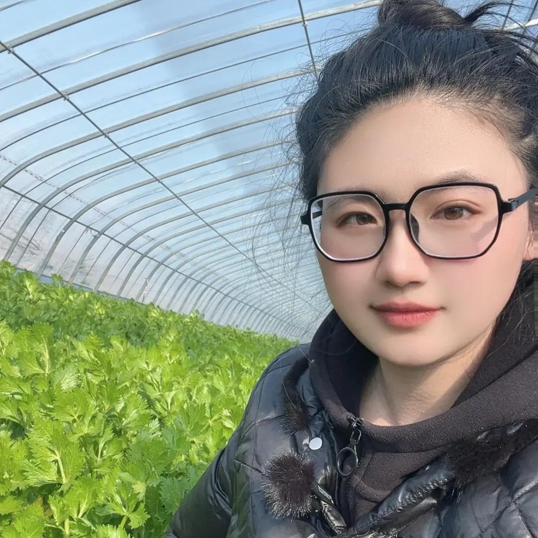 金坷垃高新甄选