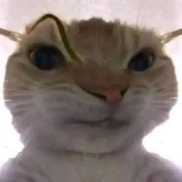 冬笙