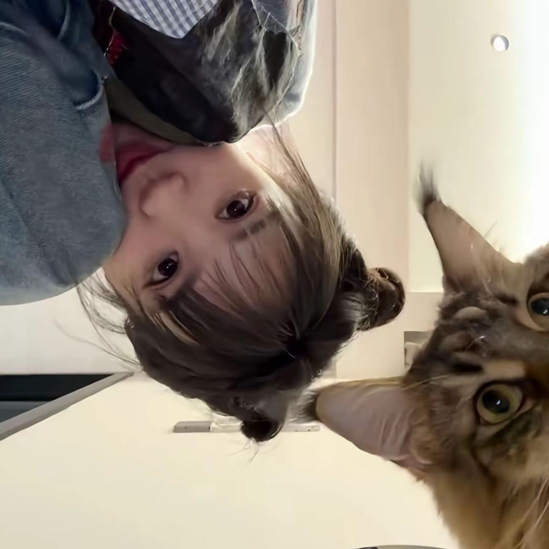 槿
