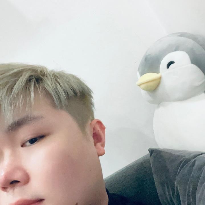 BaoJun