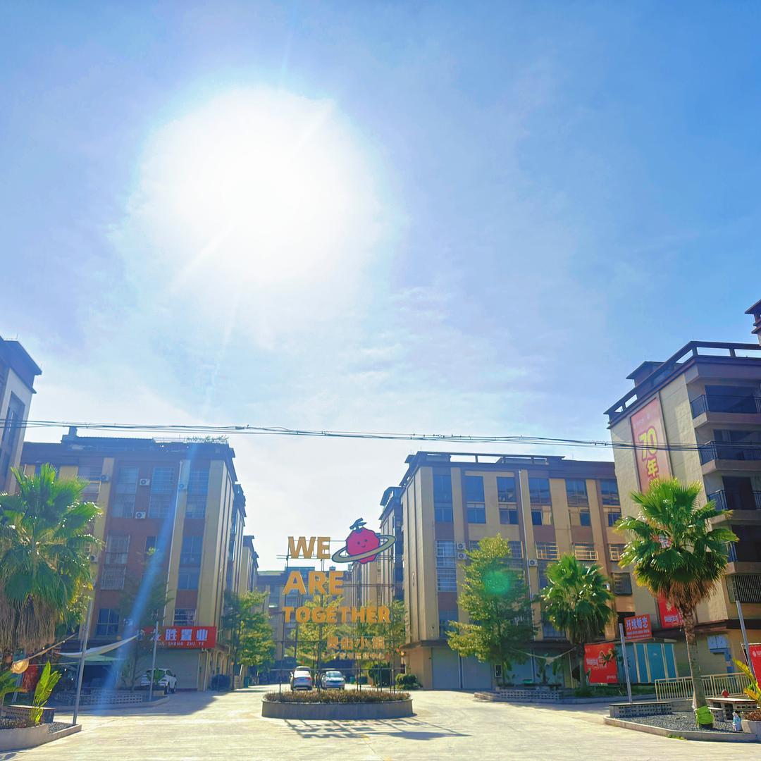 领秀城置业天团