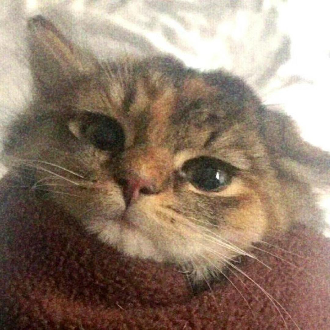 Kkkmoan