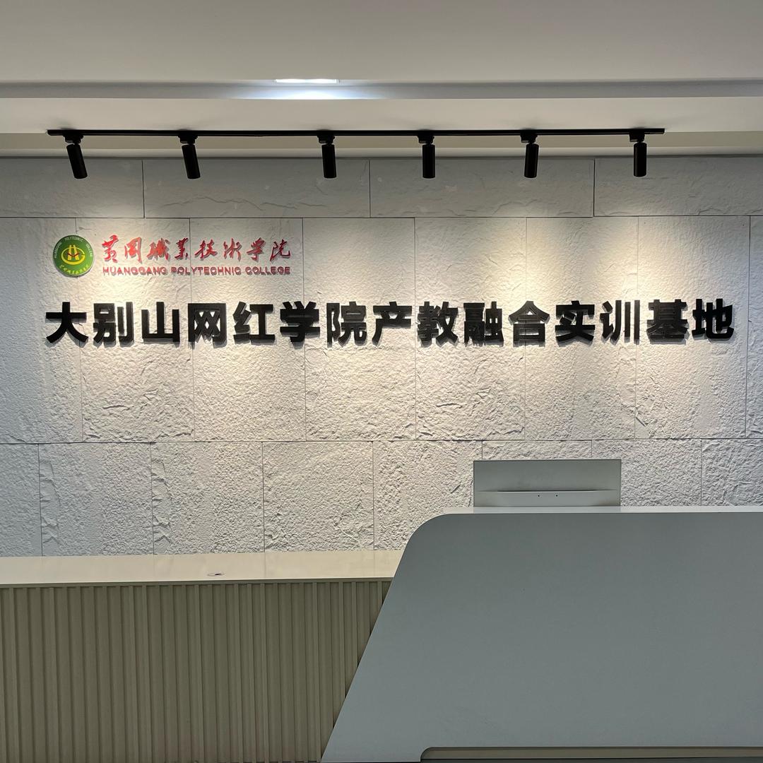 大别山网红学院