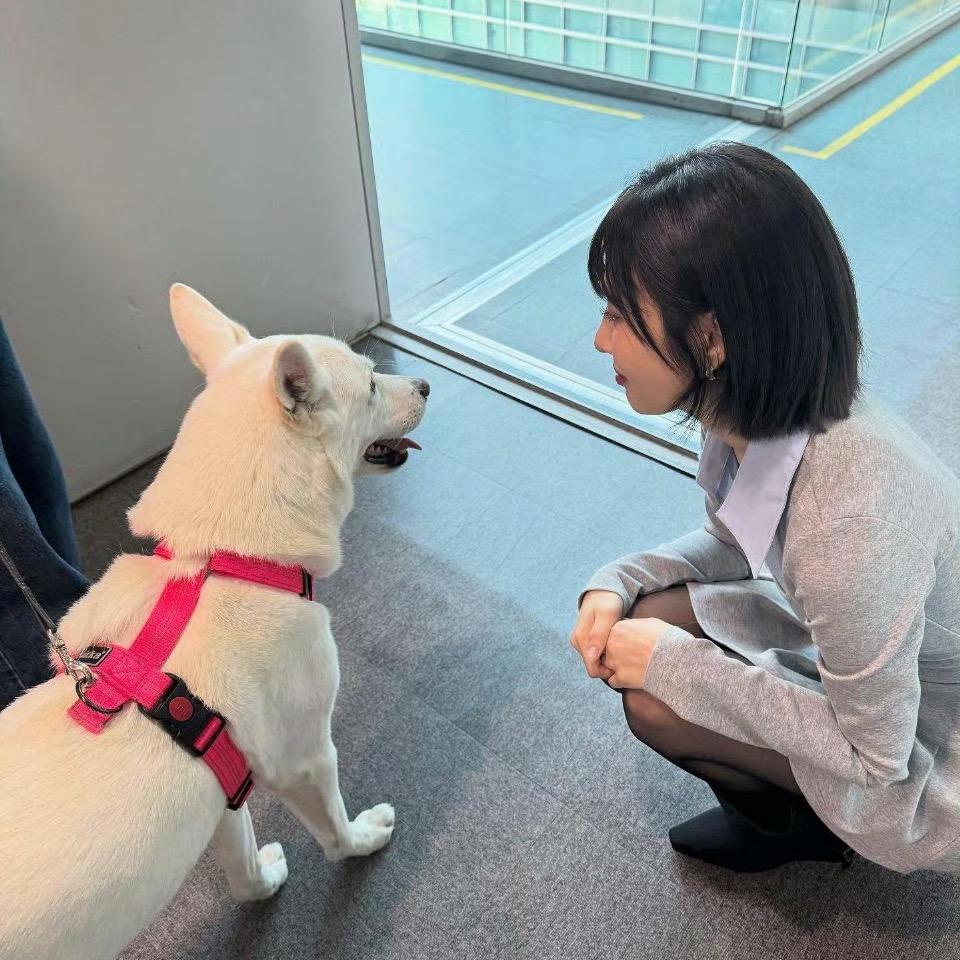 我喜欢我的小狗