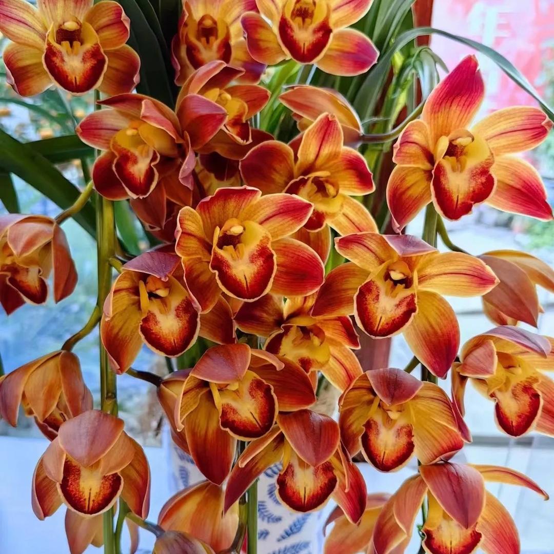 谦会花卉
