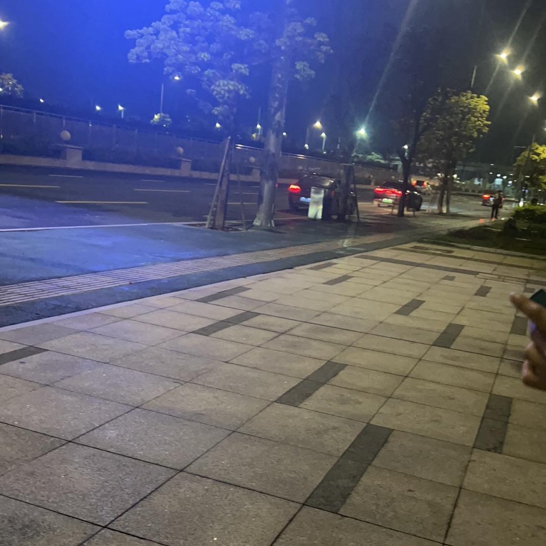 恩斯格尔