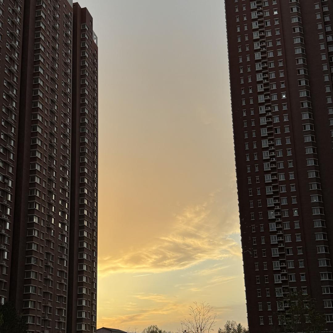 雄安-张宇承