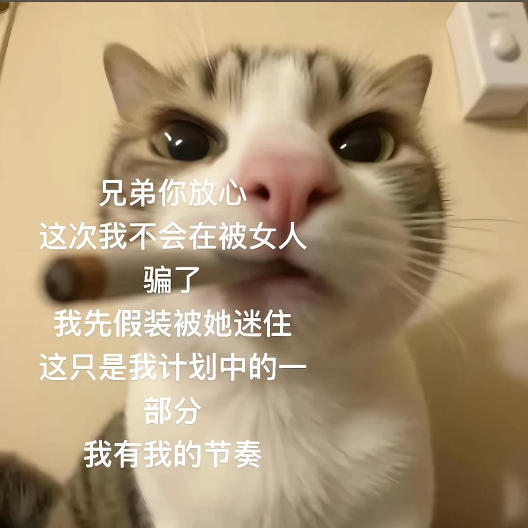 亲爱的为什么