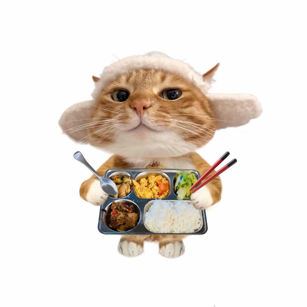 十朵莲花剩一朵