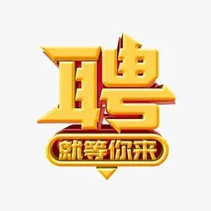 重庆宏驰资源有限公司
