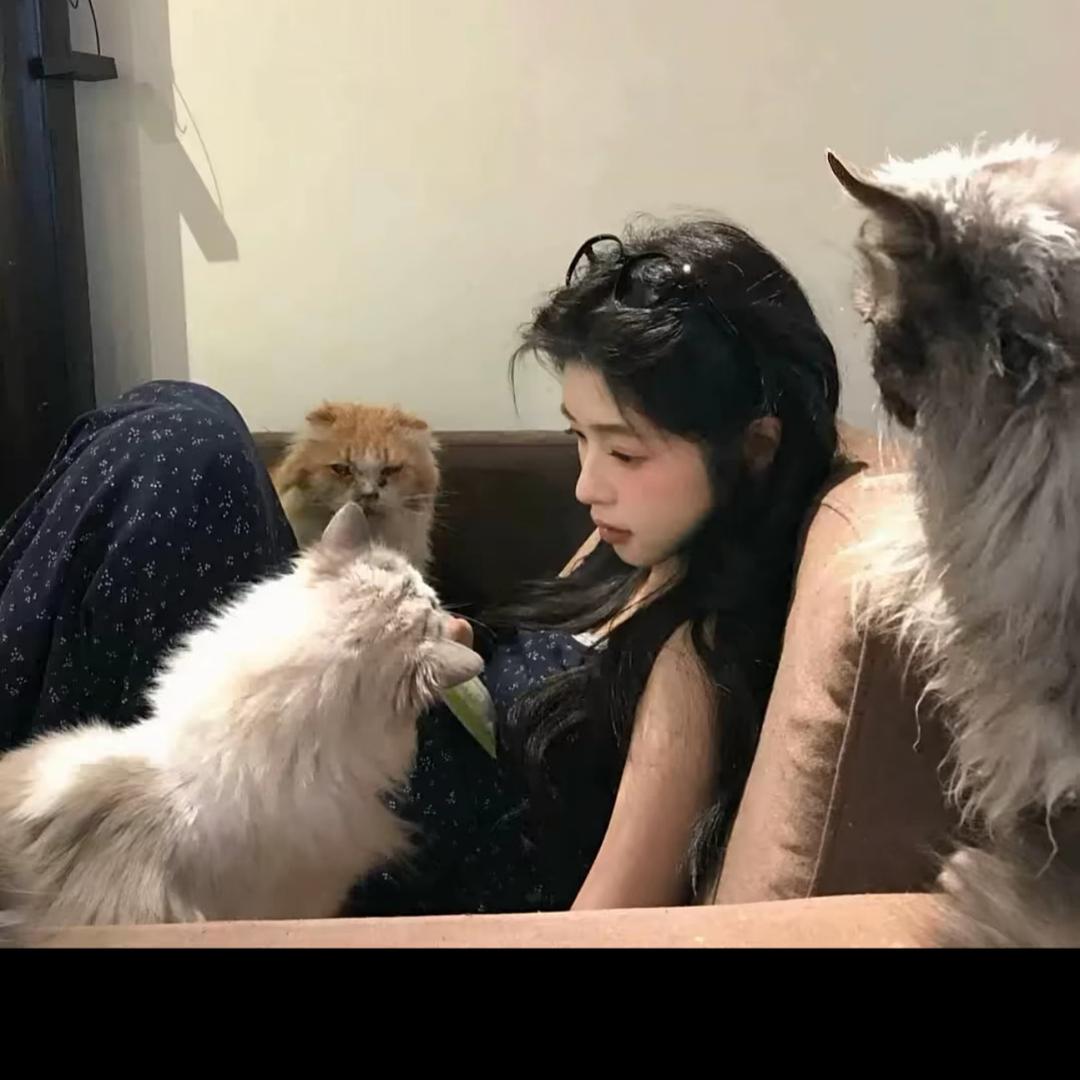 王莹莹