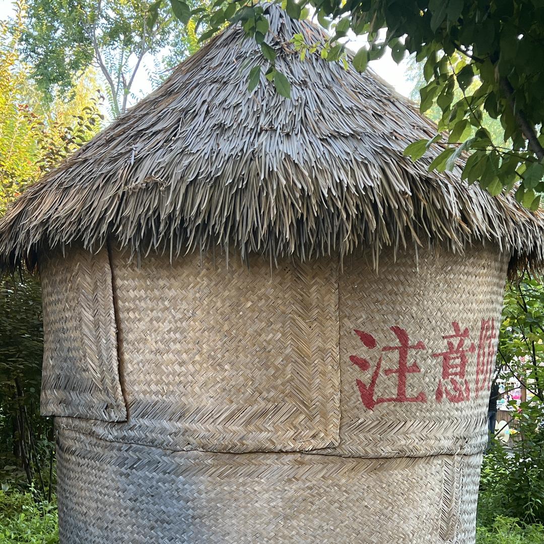JY5656999