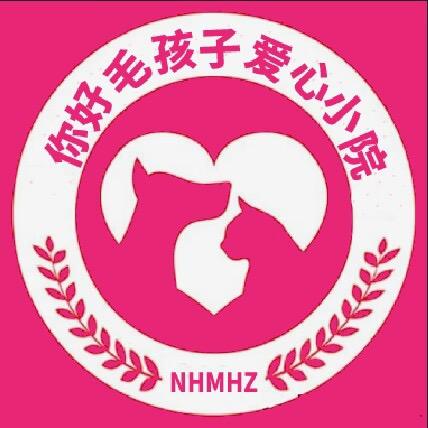 流浪狗的避风港