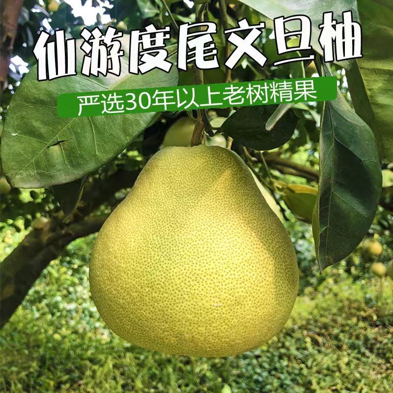 柚一夏的小店