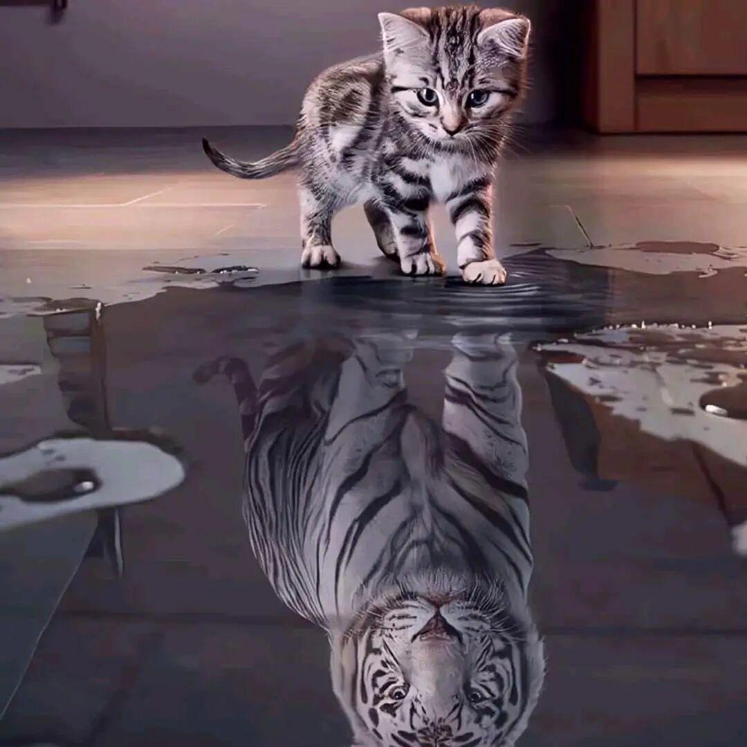 云之岫信息咨询