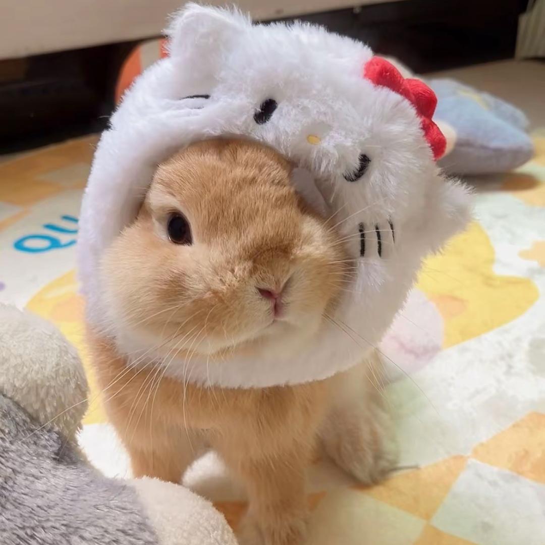 愛