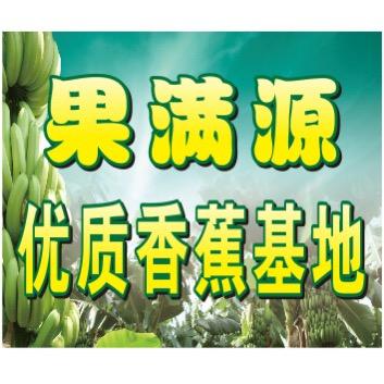 湛江果满源优质香蕉基地