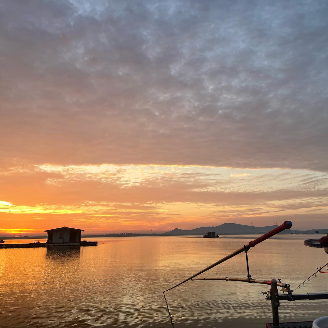 小鱼🎣