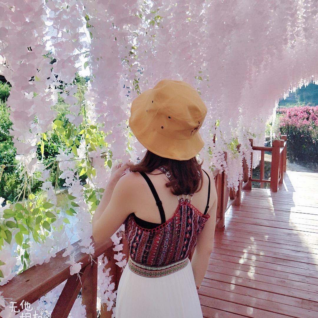 @林姓菇凉👑