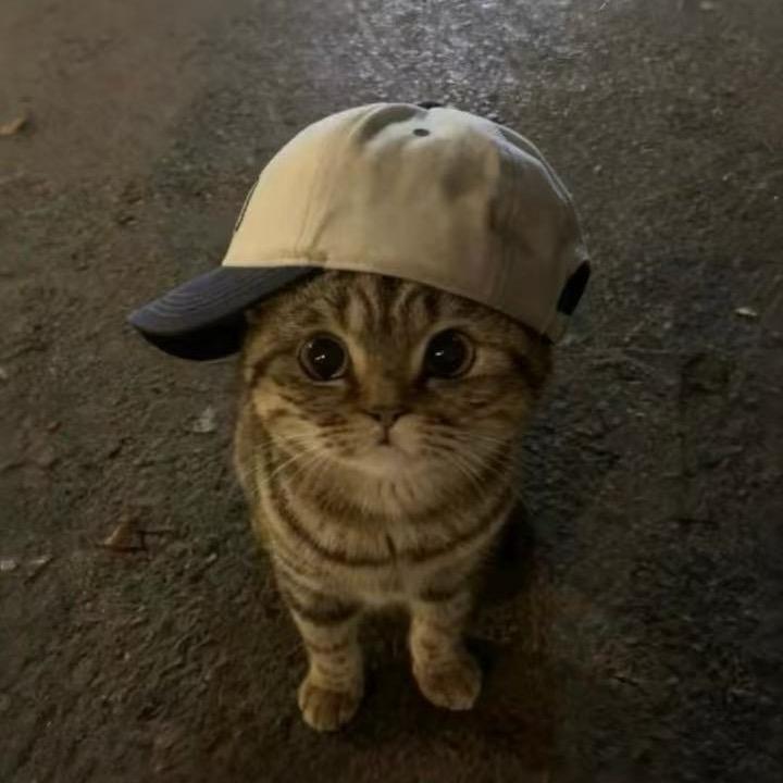·