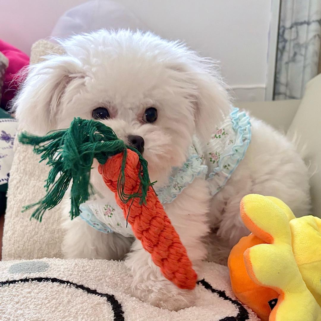 怎么没人给我发信息