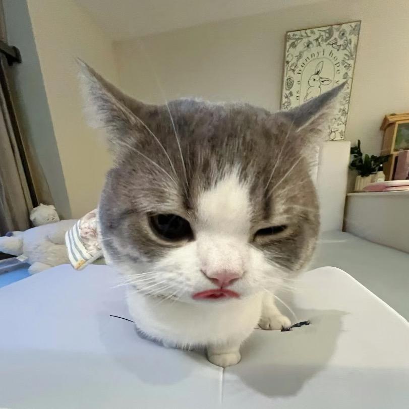 蚊蚊_