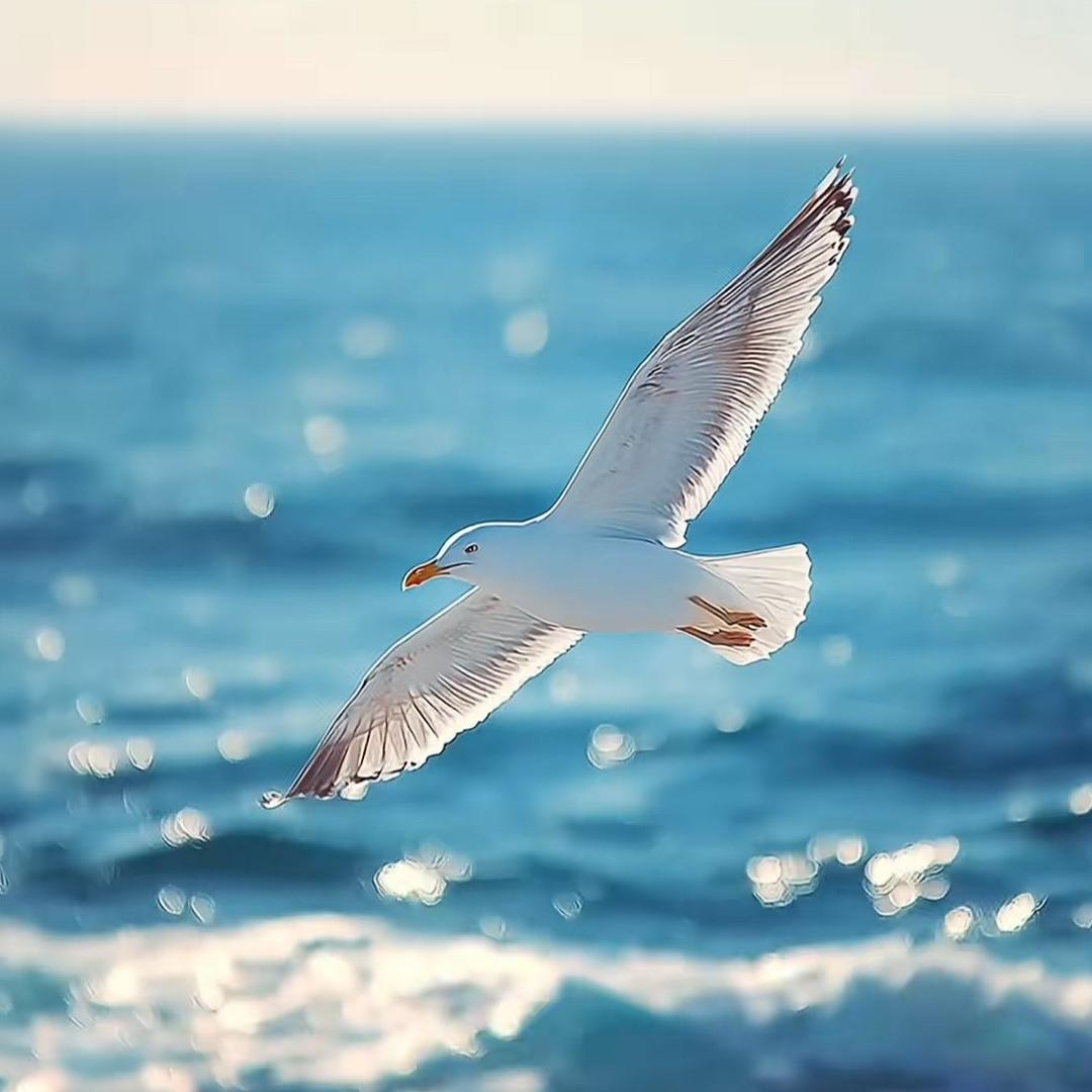 看⭐️⭐️的我🫡