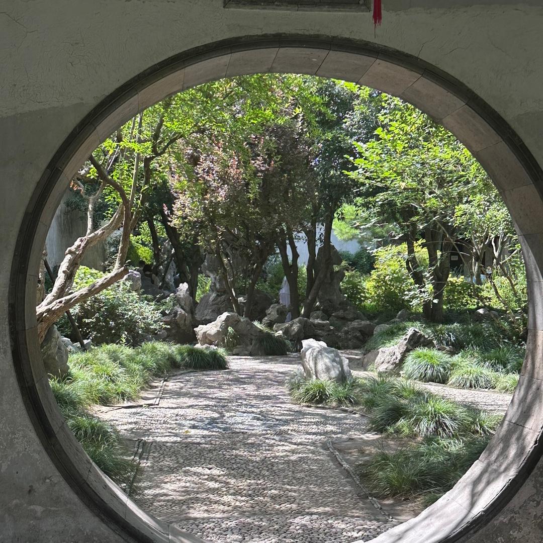 紫藤树