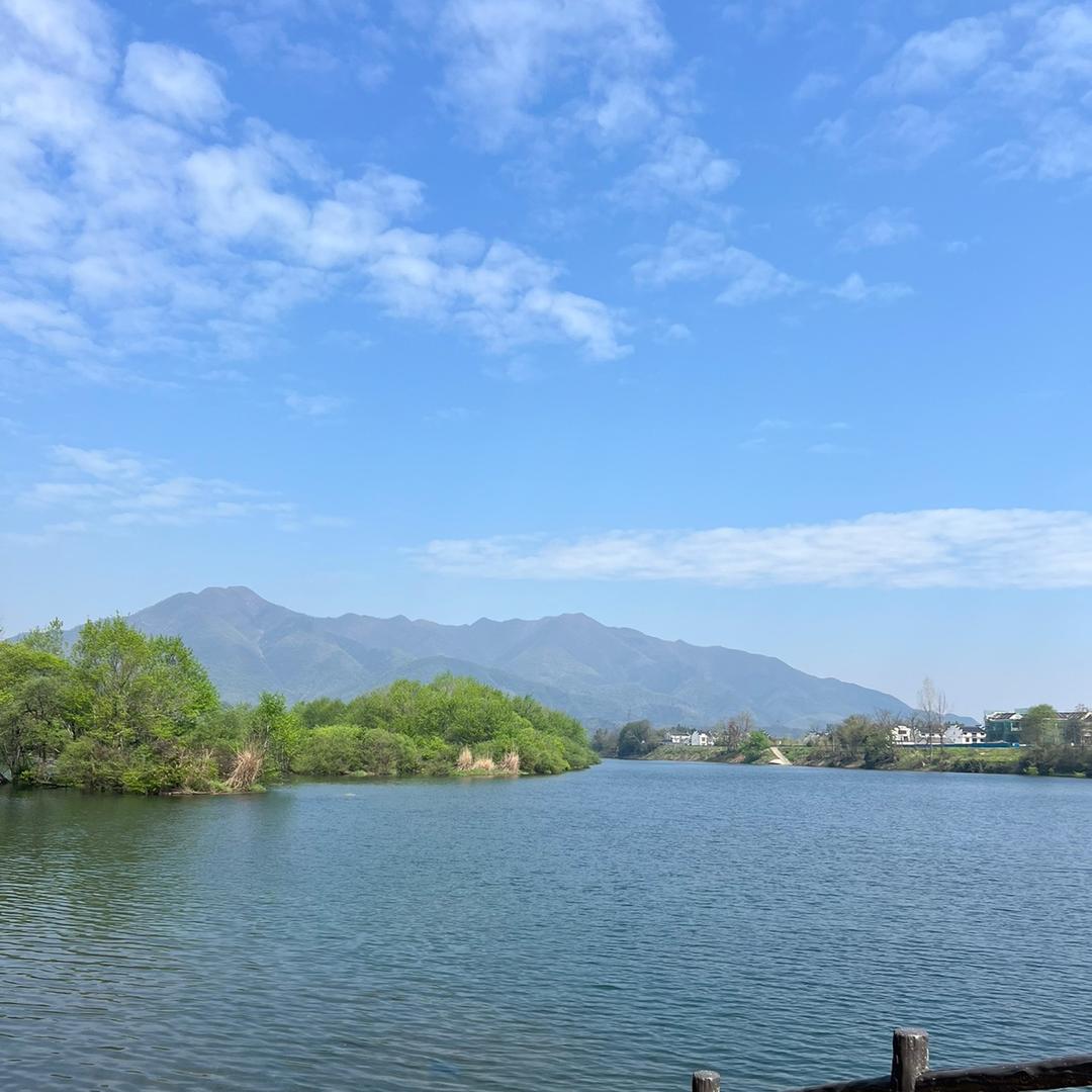 知明