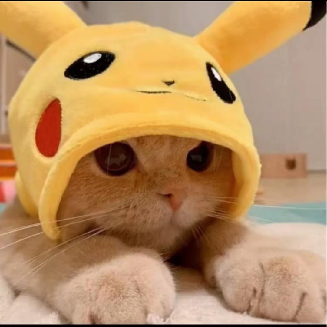 ℳ̶̶̶̶♡̶҉初夏ℳᥫᩣ