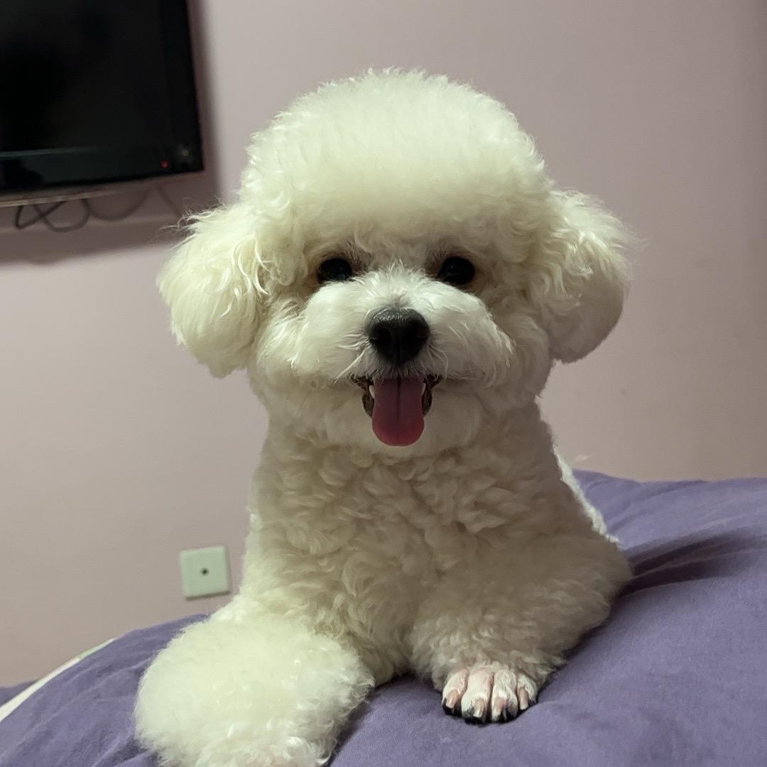 歪姐的文玩小店