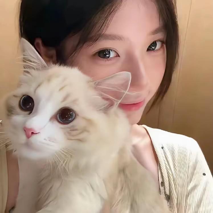 茜、