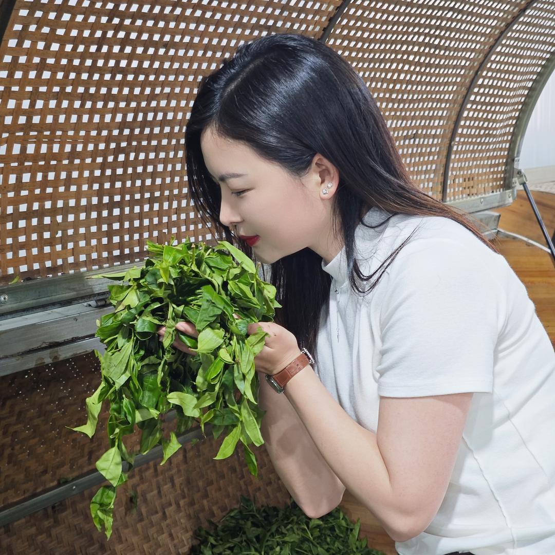 婷婷茶事