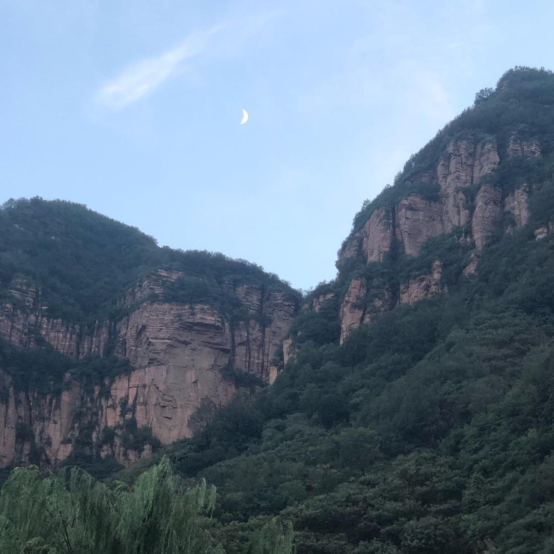 杨记