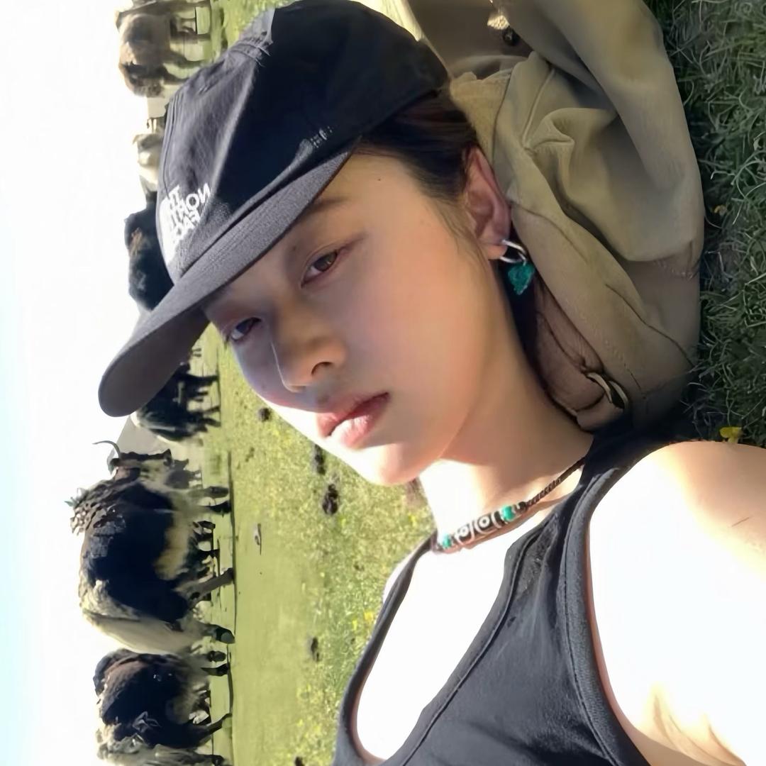树上的猫