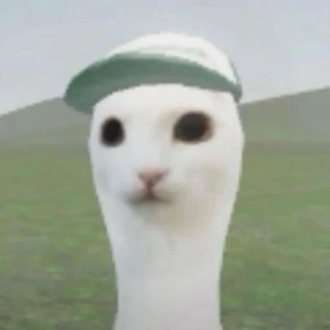 先发个呆吧