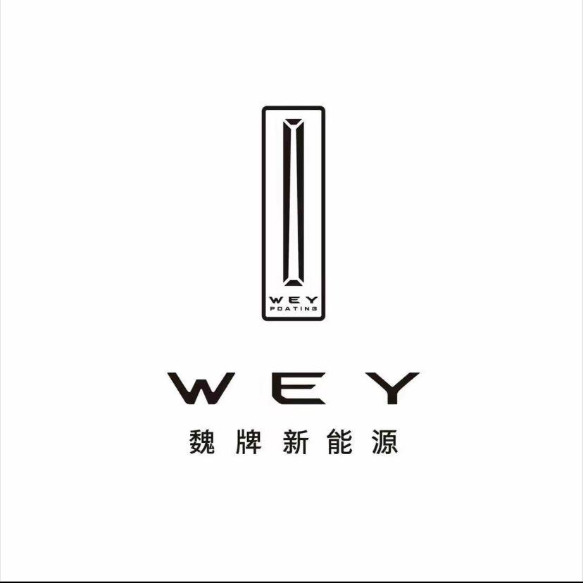 魏牌蓝山新能源