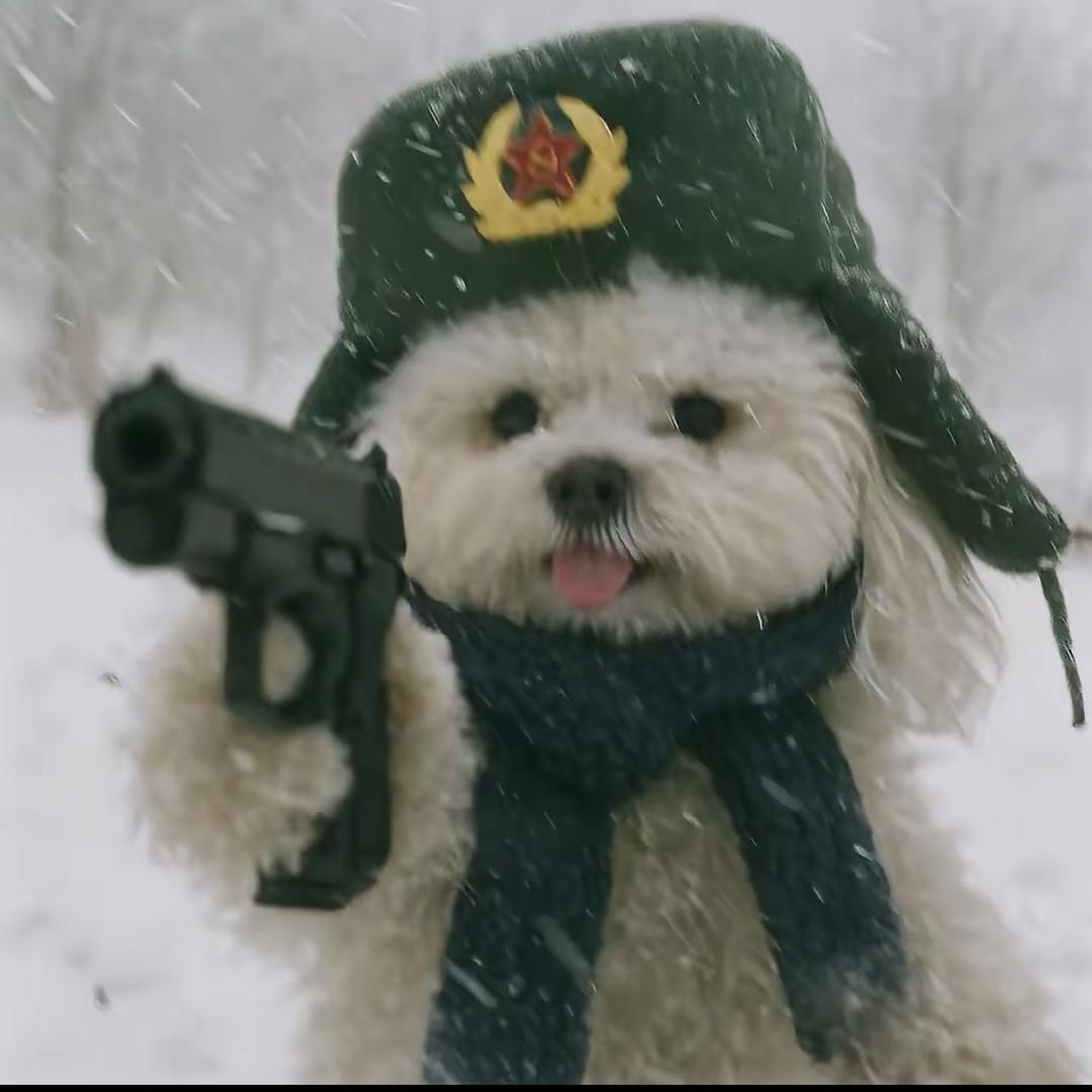晚照.